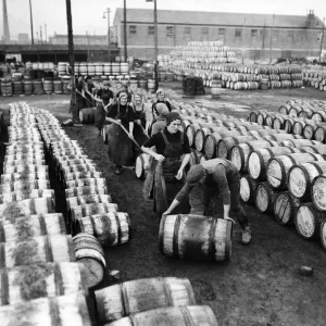 Stacking barrels of herrings in the filling yards at Yarmouth, Norfolk
