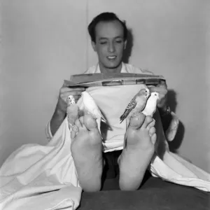 Stage illusionist Kodell with his Budgerigar. September 1952 C4775
