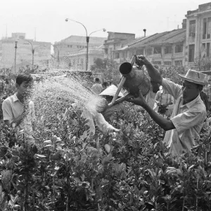 A stall holder waters his flowers and shrubs during the midday heat of Saigon flowers A stall holder waters his flowers and shrubs during the midday heat of Saigon flowers