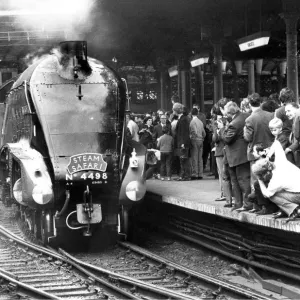 Steam engine No. 4498 the Sir Nigel Gresley at Newcastle Station on 12th June 1972