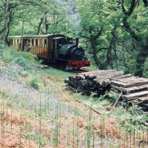 Dampfbahn auf der Talyllyn-Eisenbahnlinie, die sich für etwa sieben Kilometer erstreckt