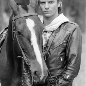 Sting, from the pop / rock group The Police. Pictured here with a horse Sting, from the pop / rock group The Police. Pictured here with a horse