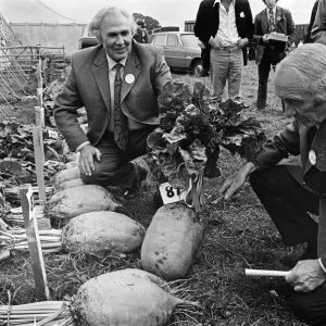 Stokesley show, men looking at vegetables 1973 Stokesley show, men looking at vegetables 1973