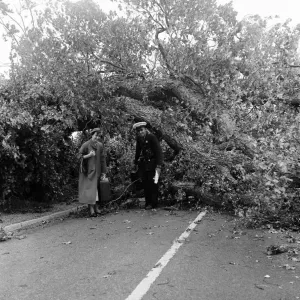 Storm damage near the south coast on the main road from London a mile past Pullborough Storm damage near the south coast on the main road from London a mile past Pullborough