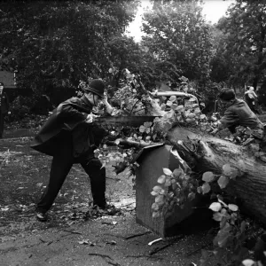 The strong arm of the law is on the cross-cut saw helping to clear a road in Clapham The strong arm of the law is on the cross-cut saw helping to clear a road in Clapham