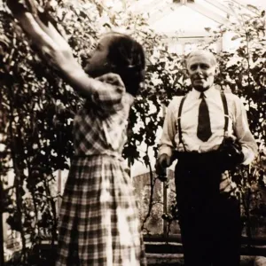Bill Struth, Rangers manager in the greenhouse in which he used to grow tomatoes at Ibrox Bill Struth, Rangers manager in the greenhouse in which he used to grow tomatoes at Ibrox