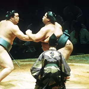 Sumo Wrestling circa 1997
