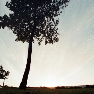 Amanecer, Ormesby, Yorkshire del Norte, 8 de octubre de 1997.