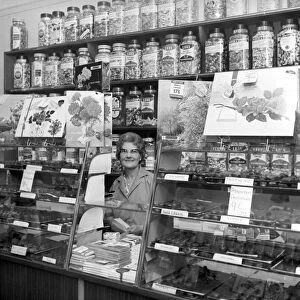 Sweetshops and shop assistants. 1960 A1204-006