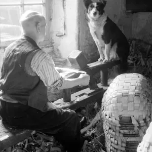 Swill ( Strong Basket ) making in the Lake District Collie dog sits on his masters Swill ( Strong Basket ) making in the Lake District Collie dog sits on his masters