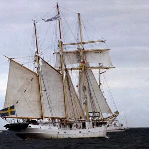Tall Ships Race 1993. Vida Stockholm at full sail