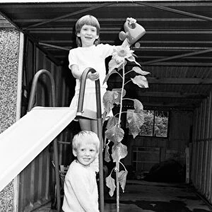 A tall story, Green-fingered Beaumont Park youngsters Paul