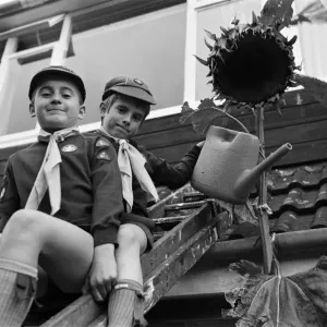 Tall story... green fingered cubs David Ryan (right) and Darren Neary have to climb a Tall story... green fingered cubs David Ryan (right) and Darren Neary have to climb a