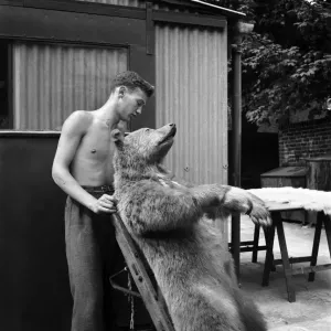 Taxidermist Workshop. January 1960 A715-020