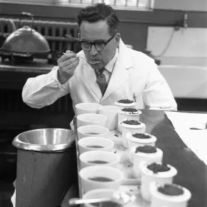 The tea taster at work. A sip, a quick taste and Mr Edward Pedvin, of Hollywood The tea taster at work. A sip, a quick taste and Mr Edward Pedvin, of Hollywood