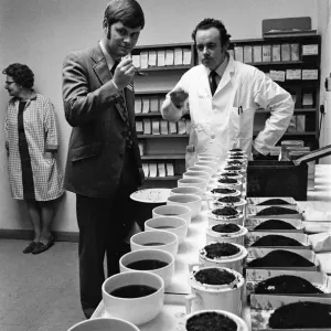 Tea tasters at Tetley s, Teesside. 1972 Tea tasters at Tetley s, Teesside. 1972