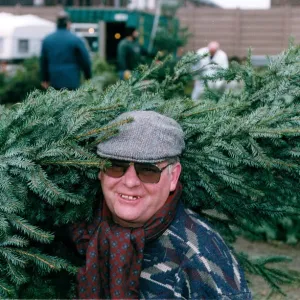 Christmas Tree Association Print, 19th December 1993 Christmas Tree Association Print, 19th December 1993