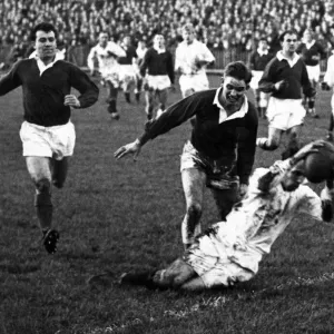 Terry Davies in action for Llanelli RFC. 3rd January 1959 Terry Davies in action for Llanelli RFC. 3rd January 1959