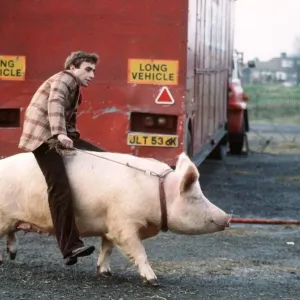 Thorsten Kohrmann sitting on his performing Pig Anna