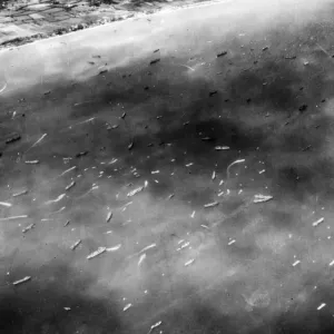 Thousands of Allied Naval Craft ferry to and from the beachhead in Northern France form Thousands of Allied Naval Craft ferry to and from the beachhead in Northern France form