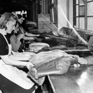 Thousands of sheepskins from all parts of the world are being used in the repair Thousands of sheepskins from all parts of the world are being used in the repair