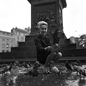 Tippi Hedren, star of Hithcocks 1963 classic "The Birds"
