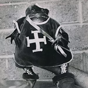 A toad dressed up in knights clothing - a true Prince Charming