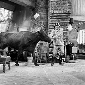 Tony Hancock with a cow on the set of The Rebel at Elstree. 2nd August 1960