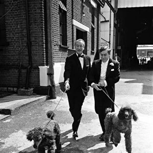 Tony Hancock with George Sanders and dogs. 12th August 1960