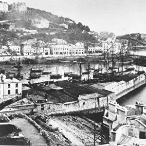 Torquay Harbour Circa 1880