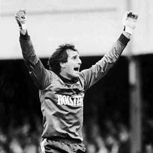 Tottenham Hotspur goalkeeper Ray Clemence celebrates a goal by Clive Allen during his