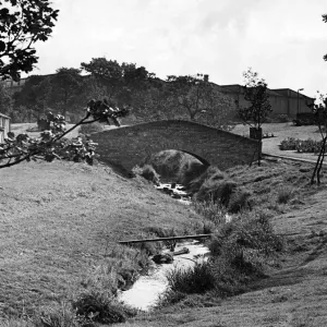 A touch of the ancient among the modern at Guisborough is this packhorse-type bridge over A touch of the ancient among the modern at Guisborough is this packhorse-type bridge over