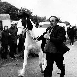 This trader shows off his horse to potential buyers at the Applby Horse Fair in