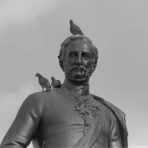Plaza de Trafalgar Londres Octubre 1977 Los palomas en la Plaza de Trafalgar tuvieron que anidar. Plaza de Trafalgar Londres Octubre 1977 Los palomas en la Plaza de Trafalgar tuvieron que anidar.