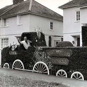 A Tribute to the Royal Wedding - July 1981 Royal Wedding tribute privet hedge
