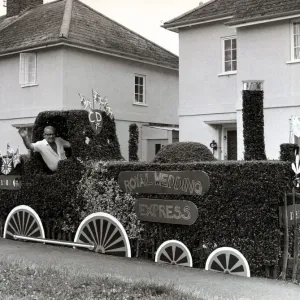 A Tribute to the Royal Wedding - July 1981 Privet Hedge Print A Tribute to the Royal Wedding - July 1981 Privet Hedge Print