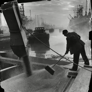 Trimming the cargo as grain roars down a chute from silo to barge in King George Dock Trimming the cargo as grain roars down a chute from silo to barge in King George Dock