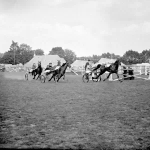 A trotting race taking place at the Birmingham Show