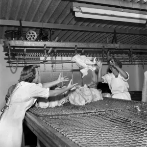 Turkey farm and meat packing factory of John Lintern, Buckinghamshire Turkey farm and meat packing factory of John Lintern, Buckinghamshire