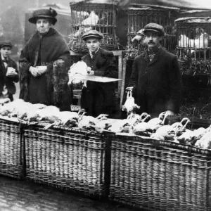 Turn of the century picture of Newcastles Big Market when livestock was on sale each Turn of the century picture of Newcastles Big Market when livestock was on sale each