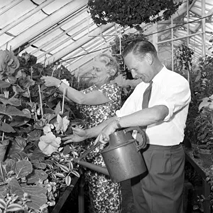 TV Gardener Percy Thrower - seen here at home. 1966 A968-005
