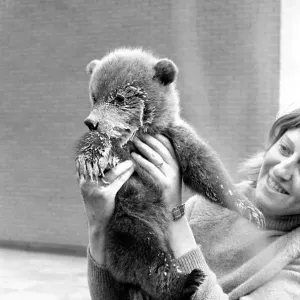 Twin Brown Bears. March 1975 75-01620-007 Twin Brown Bears. March 1975 75-01620-007