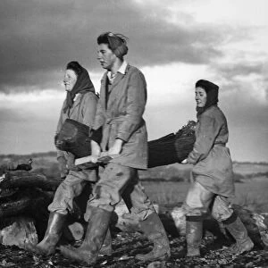 Using timber which is of no use for war production, a game of Land Army girls at Bywell