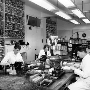 Cardiff Royal Infirmary Histology Department Print 1966 Cardiff Royal Infirmary Histology Department Print 1966