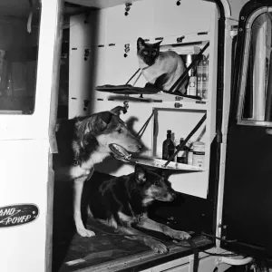 A colour print of a hospital truck at BBC Television Studio, 1968