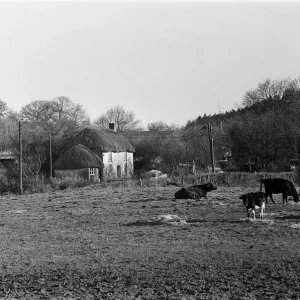 Village scenes in Morden, Dorset. 9th March 1967 Village scenes in Morden, Dorset. 9th March 1967