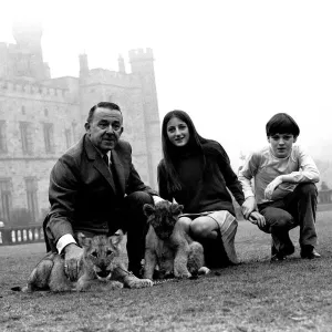 Viscount Lambton Print with Lady Isabella and Lion Cubs