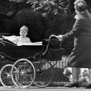 Le vicomte Linley, fils de la princesse Margaret et Lord Snowdon.