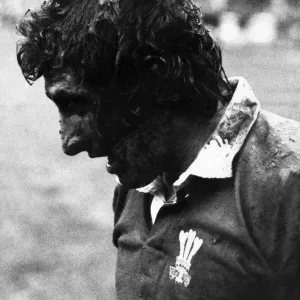 Wales 35-12 Scotland, Cardiff Arms Park Print, February 1972
