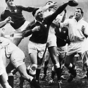 Denzil Williams in Lineout Action, Print 00705
